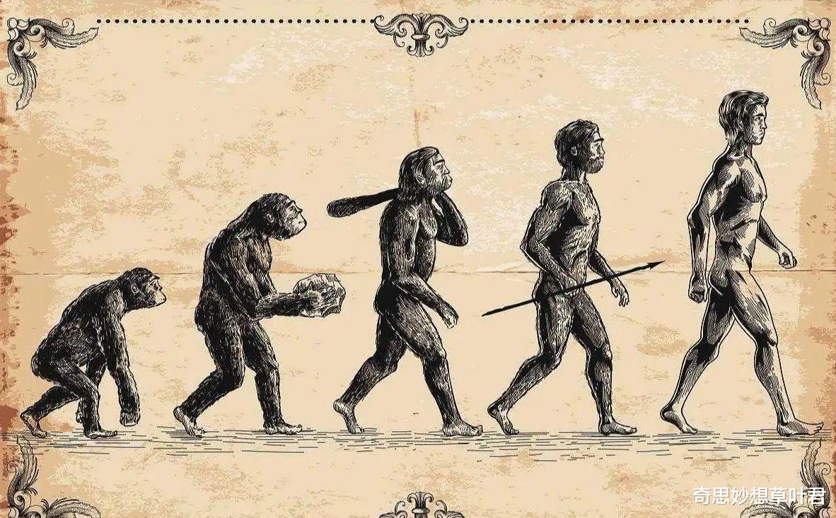 考古界世纪谜团!秘鲁挖掘出“外星头骨”,地外文明真的存在过?