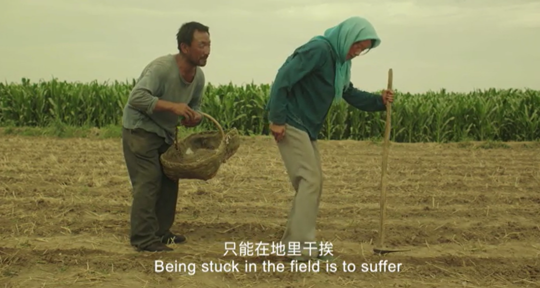 秦岚|今年最高分良心之作，再不看没机会了