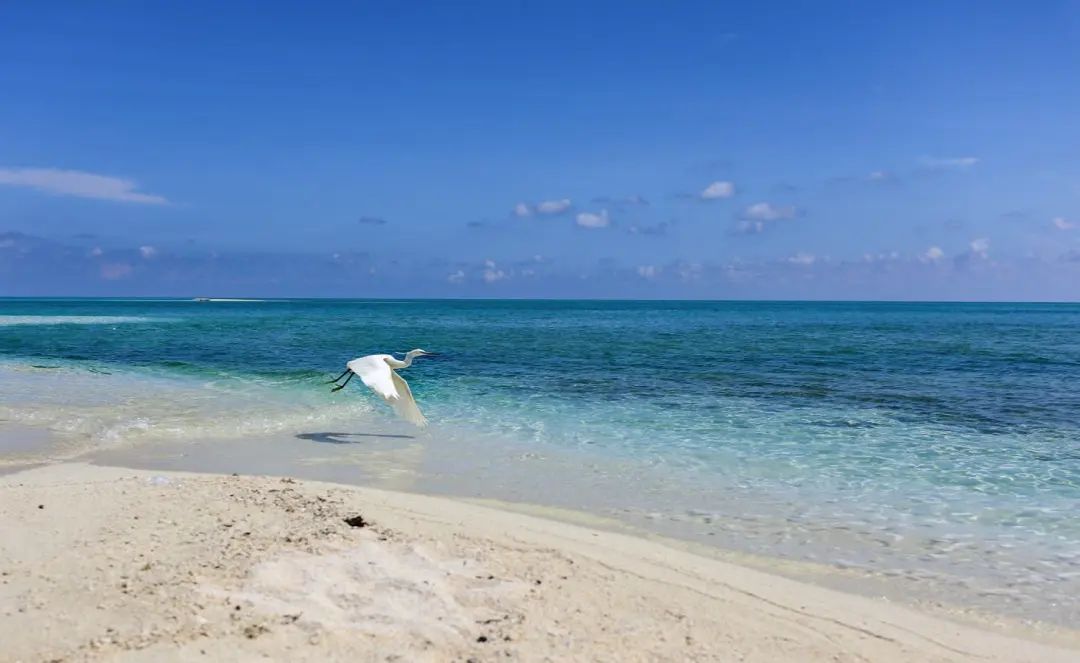 中国公民|只限中国公民进入的海岛,真正的0污染天堂,完胜马尔代夫!