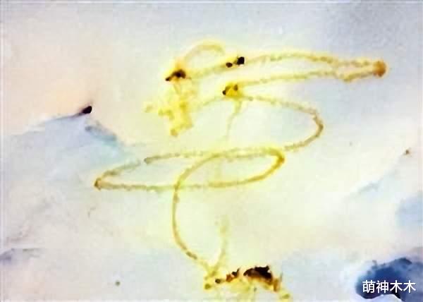 贾斯汀·比伯|素质堪忧！比伯高尔夫球场随地小便不洗手，曾在雪地尿出名字缩写