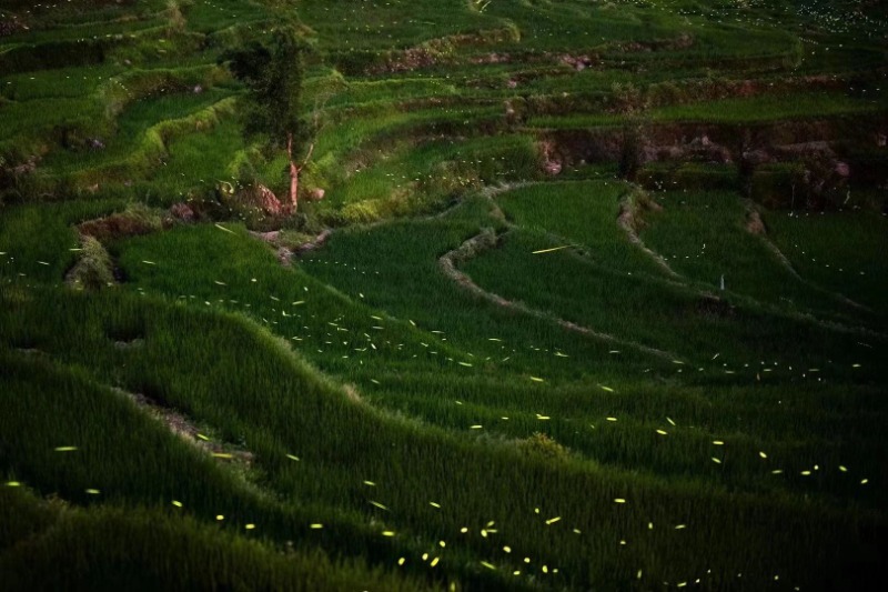 梯田|夏日“凉”方:热热热!有一种避暑叫躲进山里住