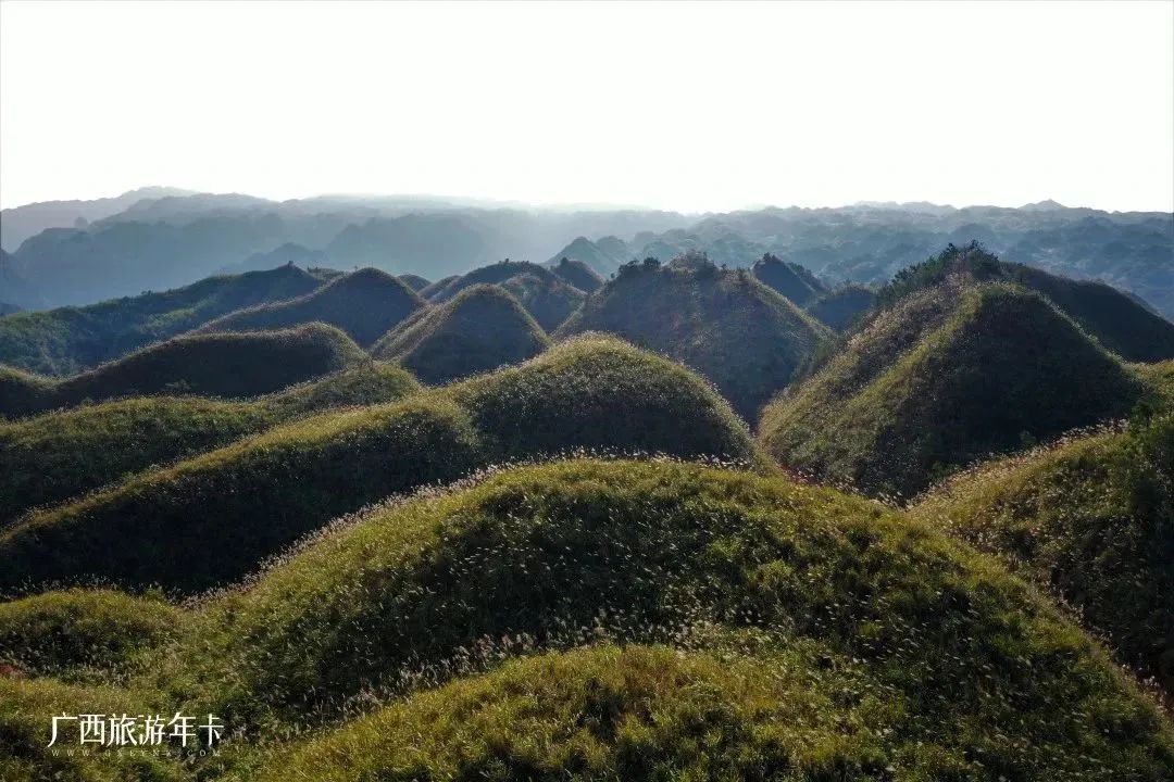 广西|广西又发现世界奇观，巧克力山横空出世！| 广西旅游年卡