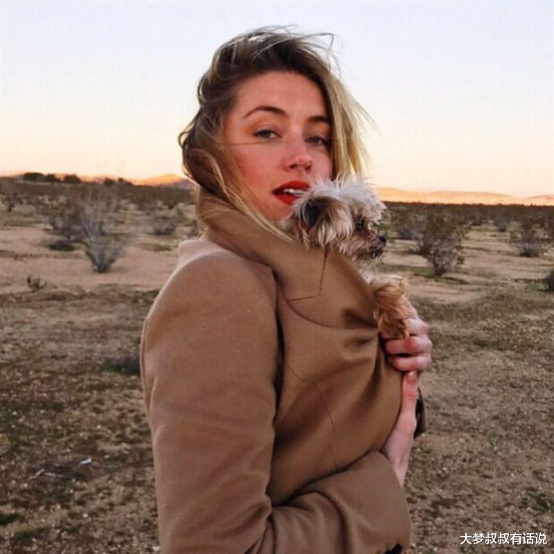 王心凌|先别管输赢了！2政府介入调查安柏赫德“漫天大谎”已触法