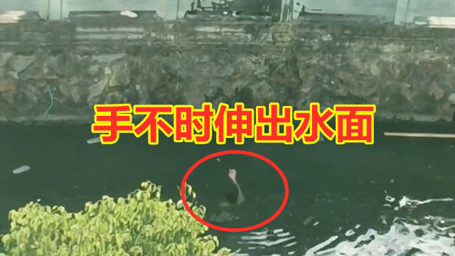 男子跳河被水淹没，路人悠闲围观无人施救，键盘侠指责冷漠被打脸