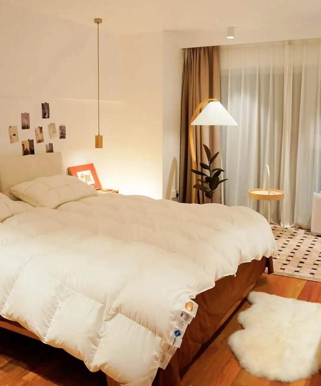 常住2人2猫,全屋依然“干净舒适”,太会布置了