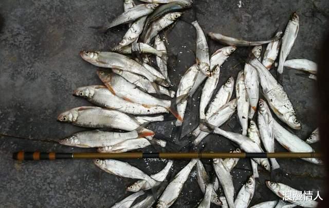 |天气这么热,鱼都去了哪里?都在这几个地方等着你去钓