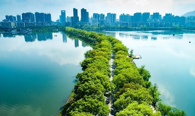 漂流|黄石出资4606万元,修建了一所大型公园,风景美如诗画