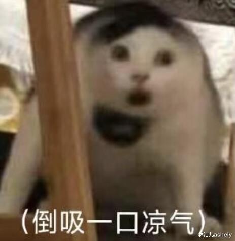 遮瑕 才20多岁眼周肌肤就出bug了，关晓彤、吴宣仪的黑眼睛无所遁形了
