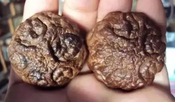 文玩|又一种恶心文玩出现了，据说带屎越多越值钱！