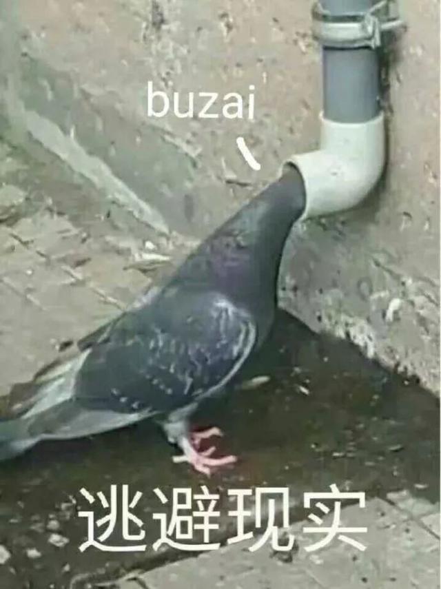 物联网|趣读|互联网公司舔狗指南