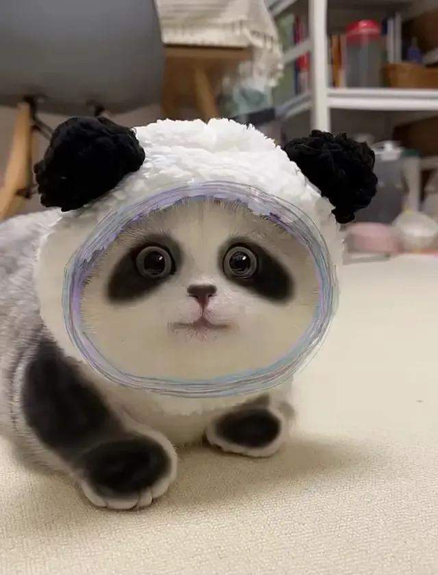 开幕式|冬奥闭幕，这彩蛋让人梦回14年前