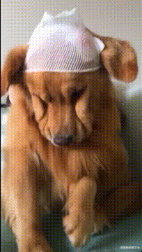 孙俪|孙俪近照引争议!眼凸脖颈鼓包,无效养生被指像青蛙