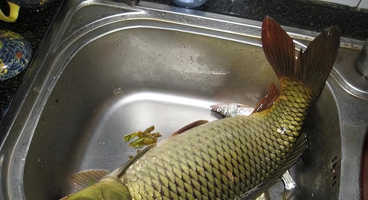 |男子钓鱼成瘾,妻子出了一个上联,能对出下联方可出门钓鱼