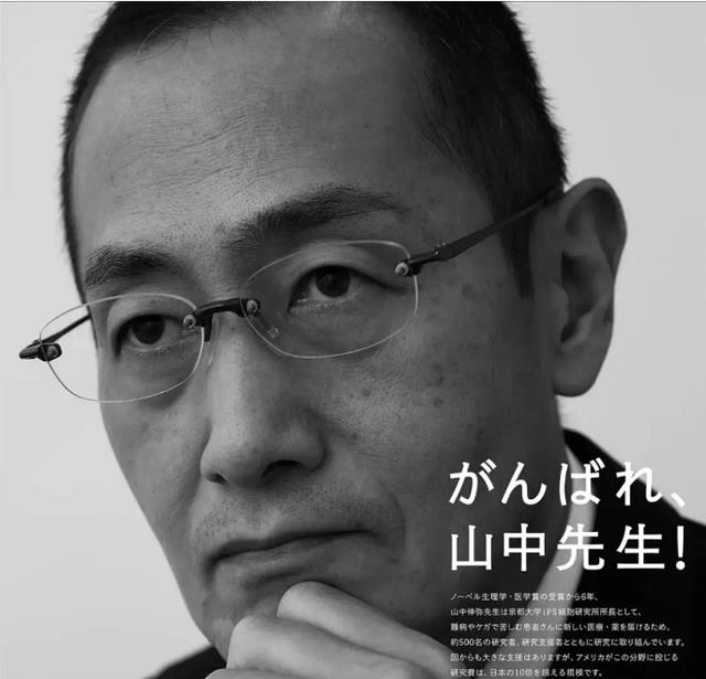 罔顾人伦的人兽混合胚胎实验,日科学家却称在造福人类,可信吗?