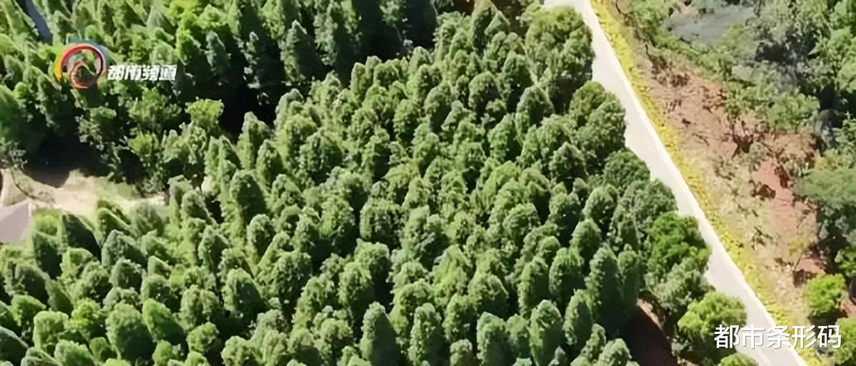 江西|藏不住了，昆明地铁5号线即将开通，沿线美景、美食抢先看~