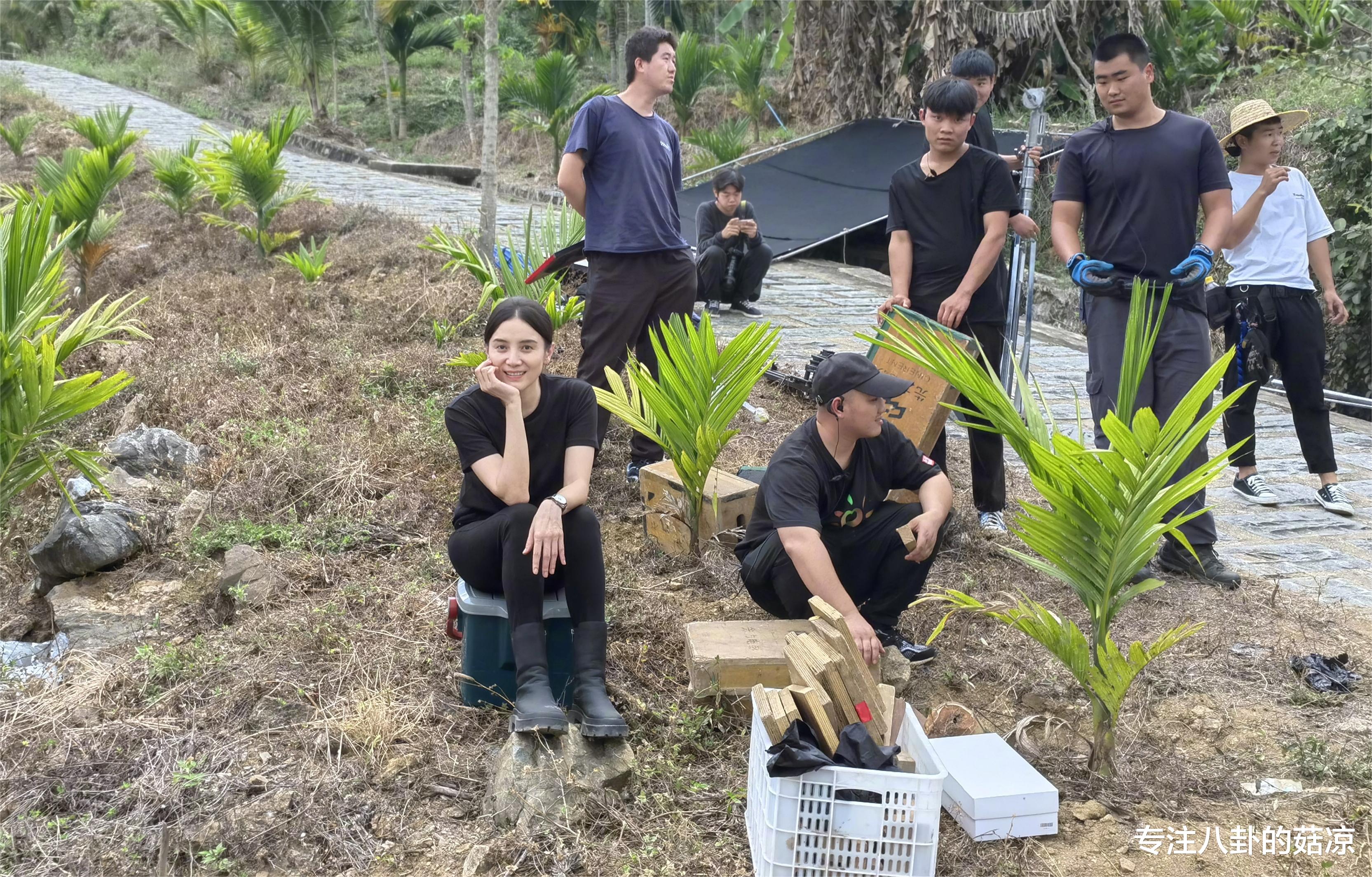 宋佳|宋佳携三部待播作品来袭，部部阵容强大，爆款预定，你期待哪部？