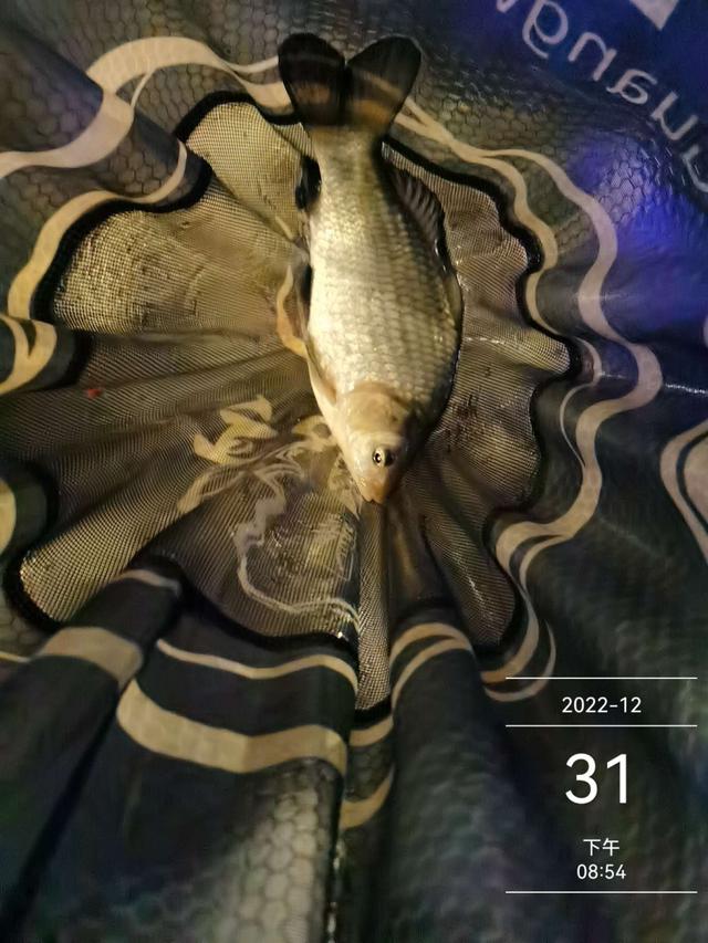 跨年|完美跨年夜:既是收官之战,又是开局之作