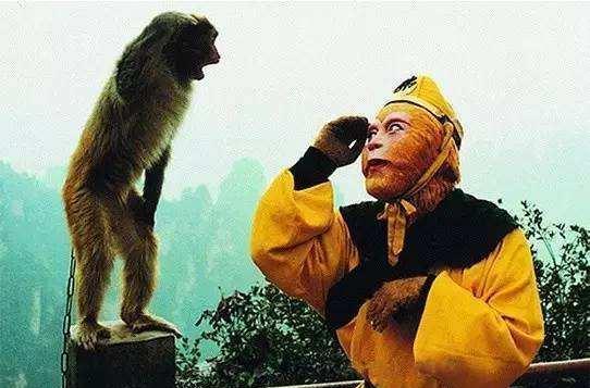 章金莱|为什么六小龄童章金莱在2016年突然一落千丈,从万众瞩目变成了众矢之的?