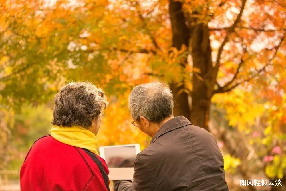 穿衣搭配|退休后,就别再回原单位了,这几点原因很现实