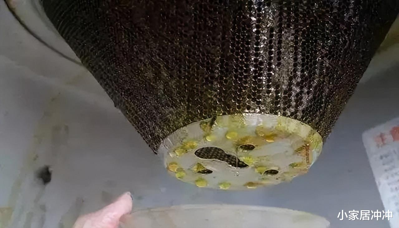 油烟机用久了油污难清洗?教你正确清洁方法,干净又卫生