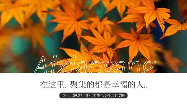 怀孕、休学、闪婚、下嫁,她集齐了所有雷点