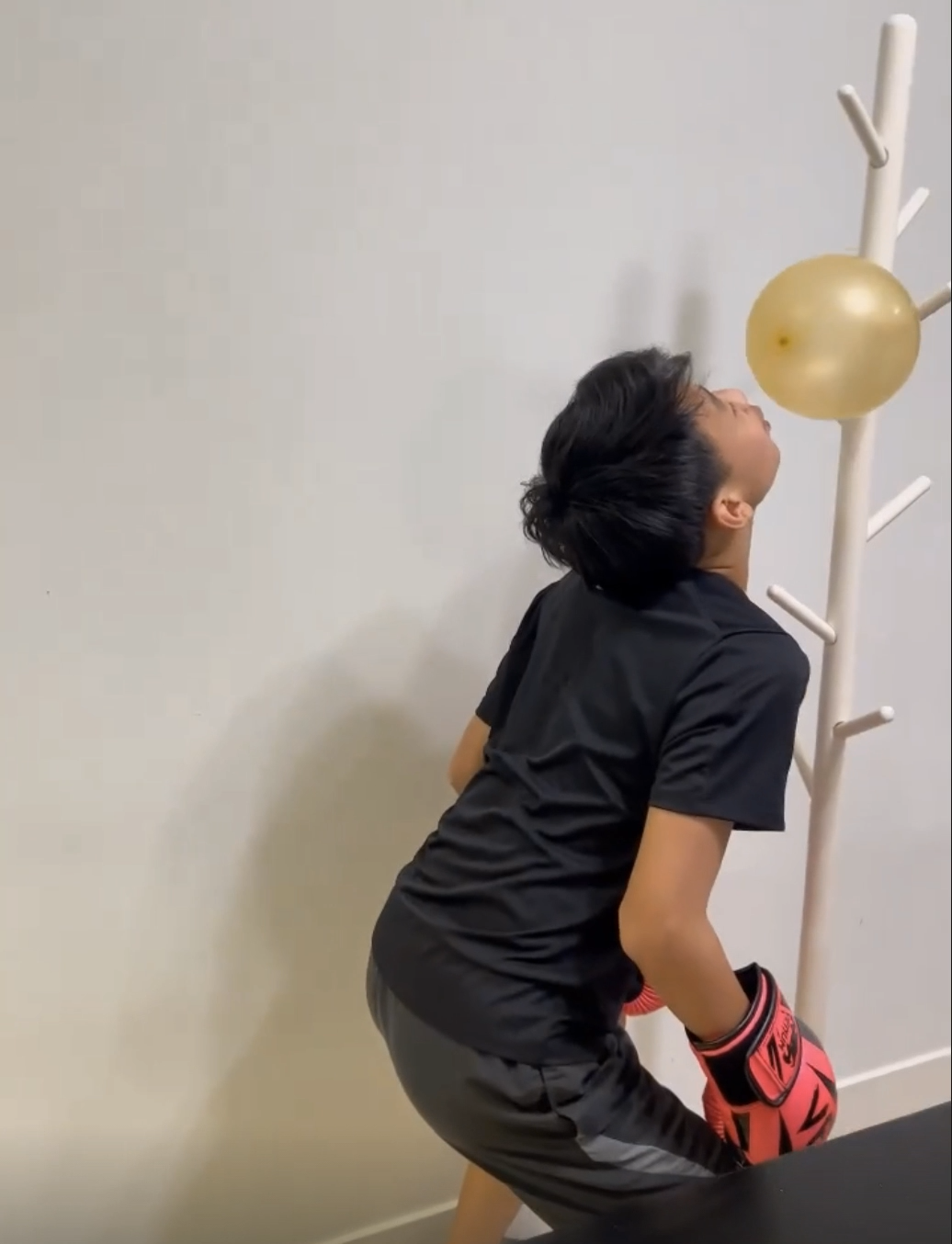 张柏芝|张柏芝的12岁次子帅照变化大,已经长了小胡子,五官像极谢霆锋