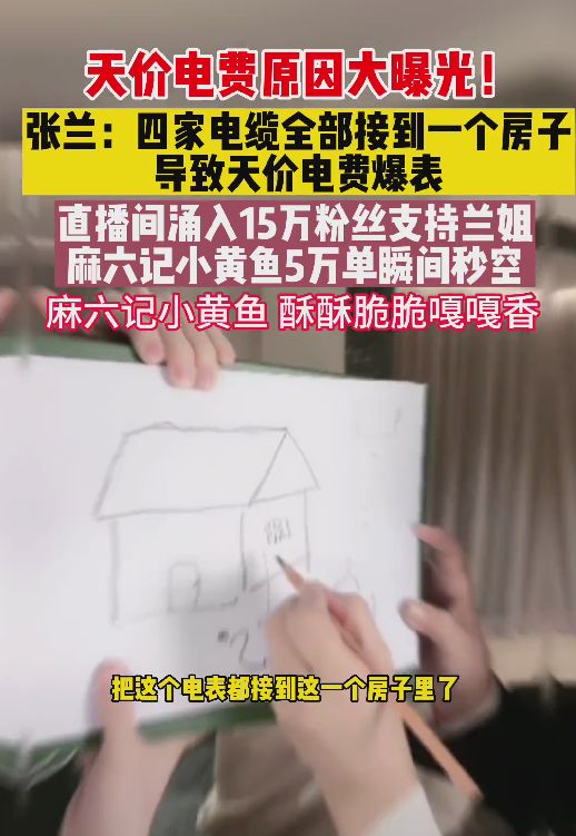 大S|张兰曝大S家高额电费真相，全家把电表接一个房子，让汪小菲报销