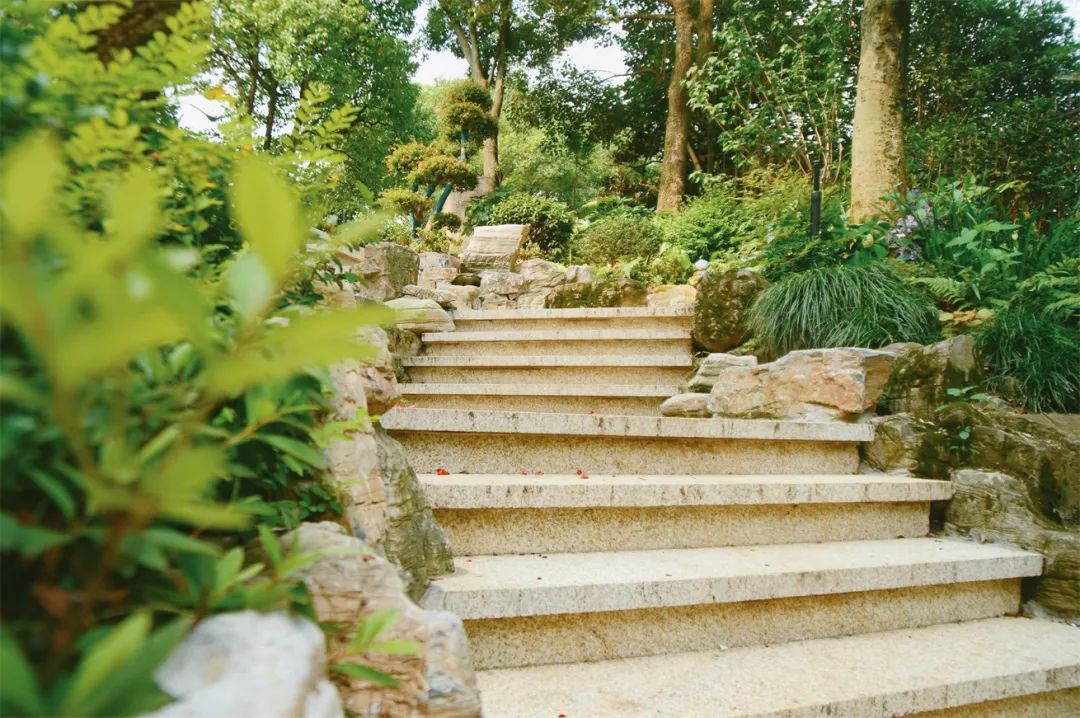 庭院设计|好看的台阶怎么设计?这篇文章告诉你