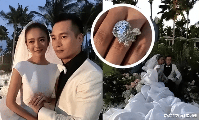 安以轩|安以轩:曾经有多风光,如今就有多狼狈