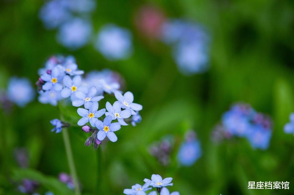 应届毕业生|六月工作运势最好的五个星座，不要轻易妥协，有望收获丰富
