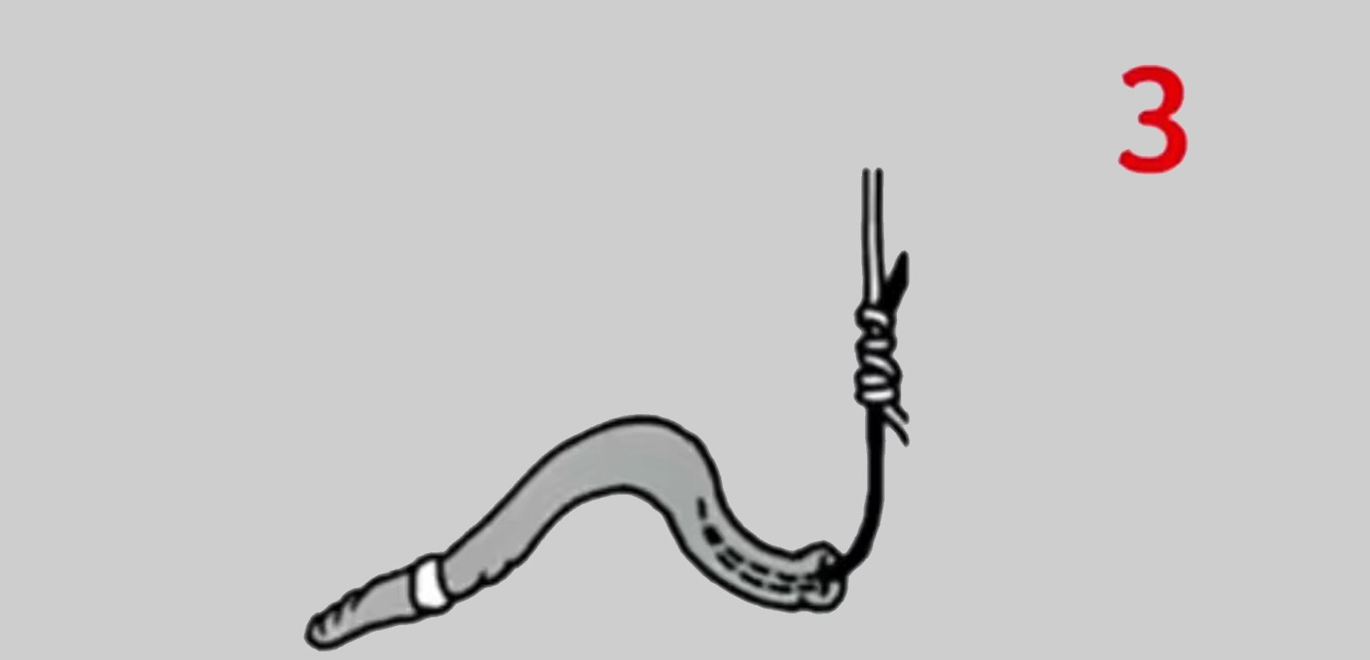 |用蚯蚓钓鱼，常用的6种挂钩方法，挂钩不正确有鱼咬钩也难钓到