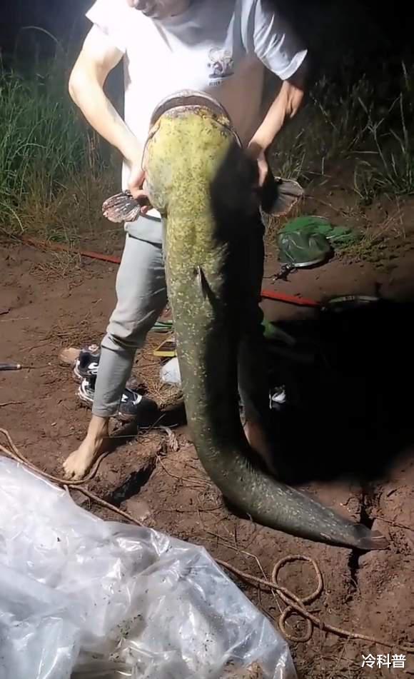 |雨季涨水野钓策略分享:饵料、钓位、时段有讲究