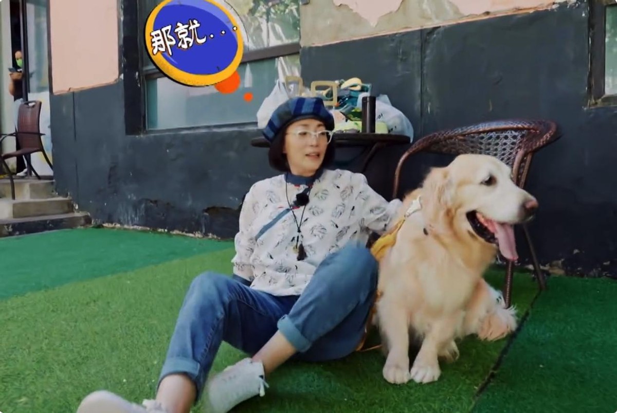 芒果台|芒果又甩出一档“硬核”综艺，全场爆笑，国产综艺真正的王炸来了