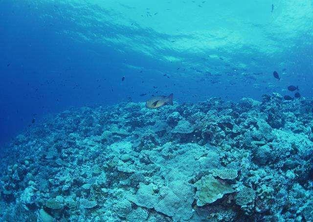 你知道海洋有多深吗?海底10000米隐藏着什么?