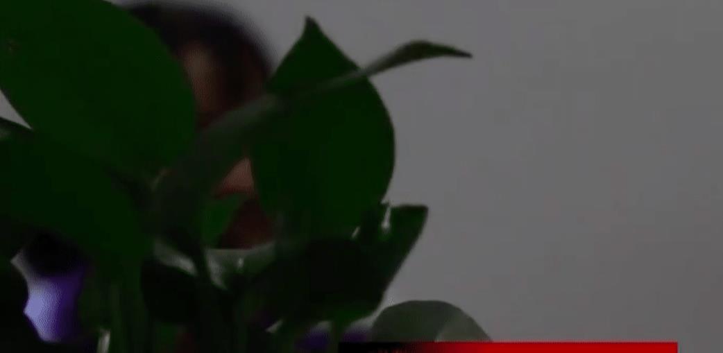 2019年,两男一女同床共枕酿成惨案,妻子:丈夫值夜班,让男同事睡我