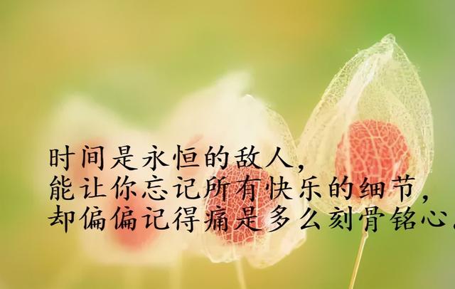 小飞侠熙熙 真正的强大不是忘记，而是接受！