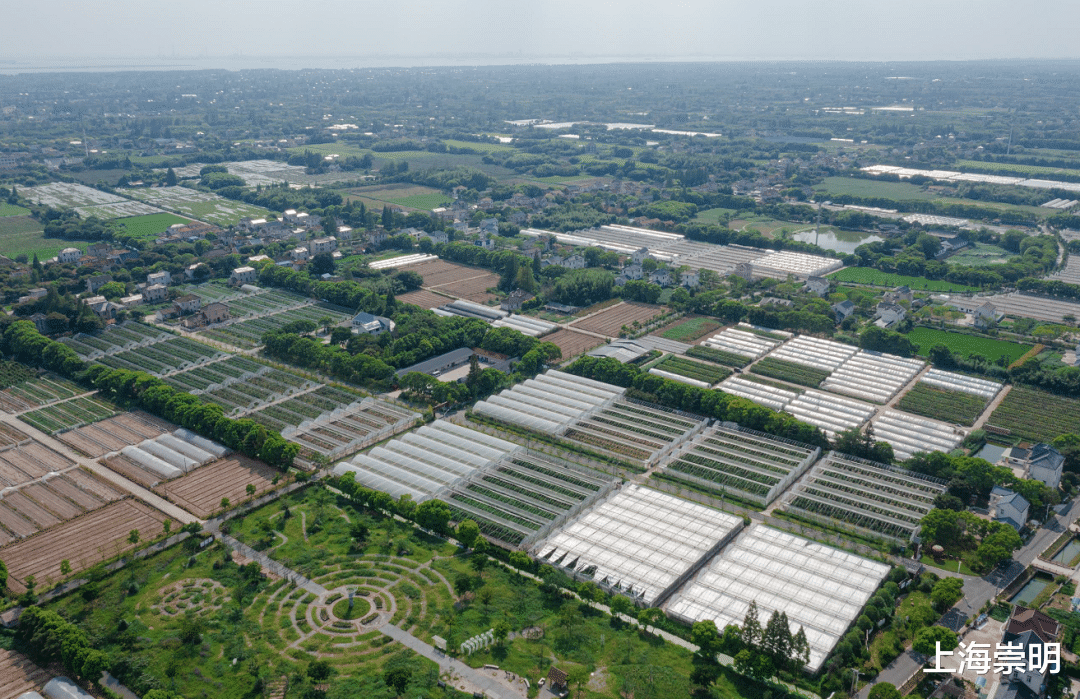 崇明|崇明十八境 | 在崇明,“港”好遇见你!