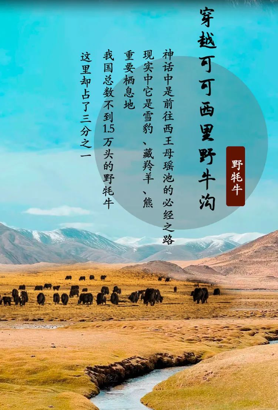 敦煌|风光最极致的大西北,跟着老司机玩了一趟,沿途美到封神!