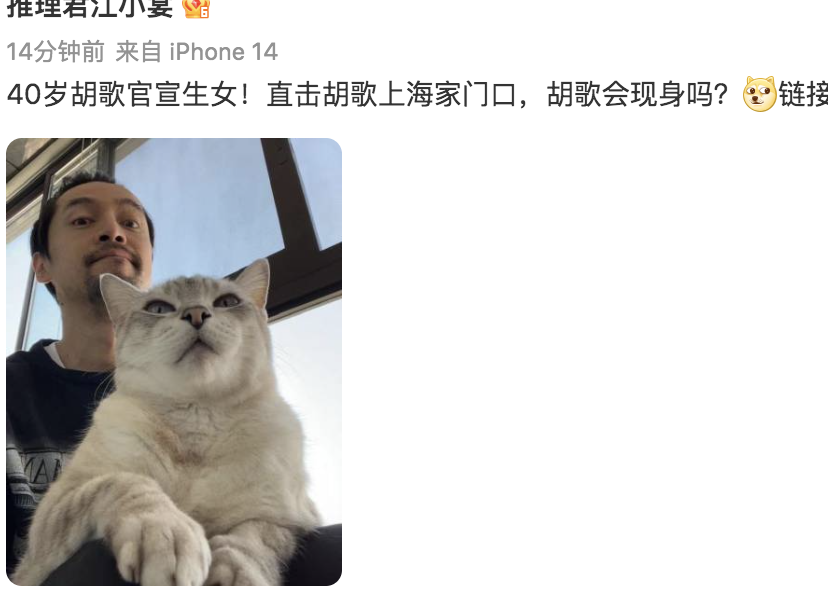 胡歌|胡歌当爸早有暗示:亲手做年夜饭!妻子正脸照好美,刘涛等人祝福