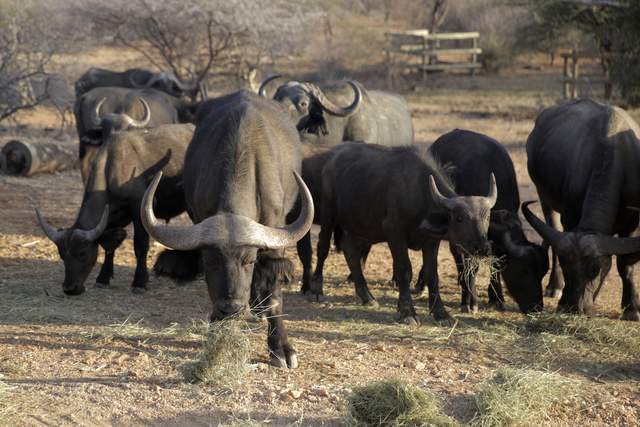 气候趋向不归路?2022年或许只是起点,很遗憾!中国无力改变世界