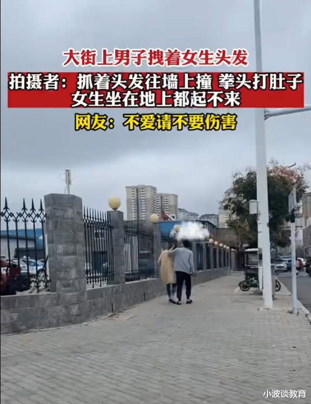 河南一男子:拽女生头发往墙上撞,多次拳打脚踢,画面极为心酸!