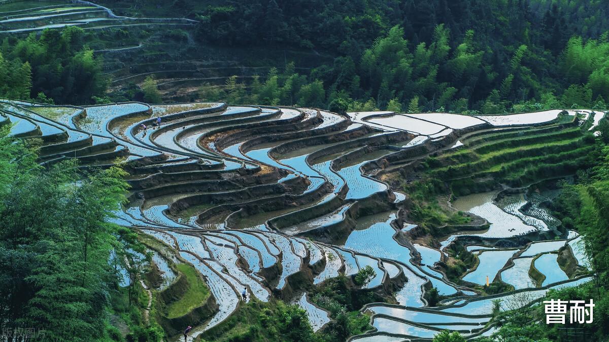 梯田|乡村旅游主阵地，中国最美十大梯田，看看中国最美乡村
