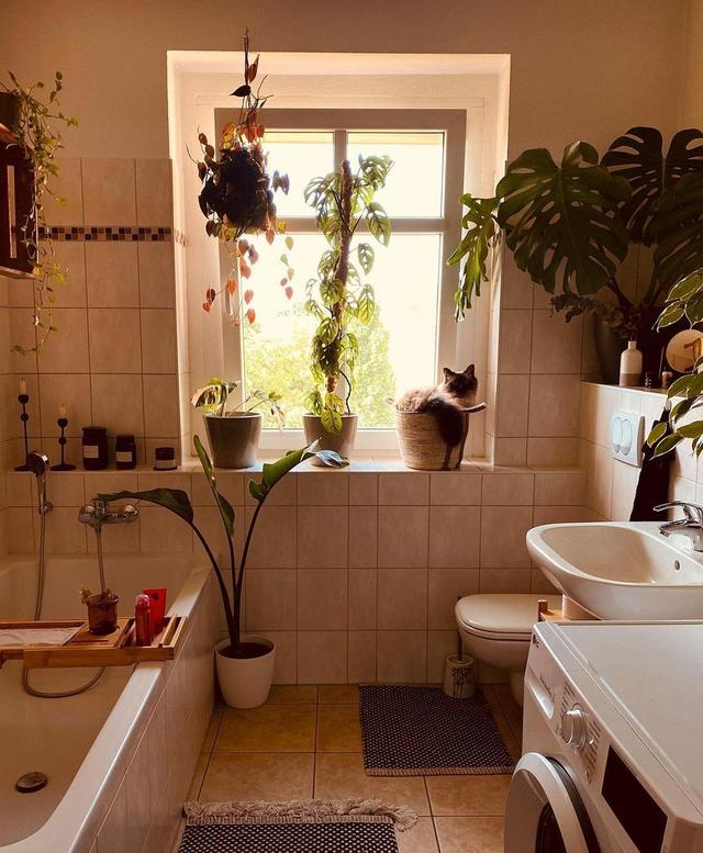 给家里多点绿!一个女孩住的丛林之家,绿野仙踪在都市里也能实现