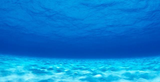 若用密闭容器装1升水,从11000米海底取上来,会发生啥?