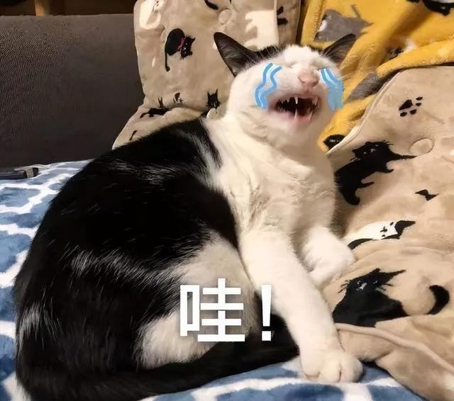 招聘|2022年,没有“招聘旺季”,1000万应届生内心焦灼