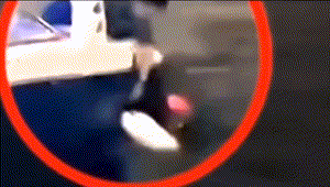 环球影城|娱乐圈又多了一个“樊胜美”？