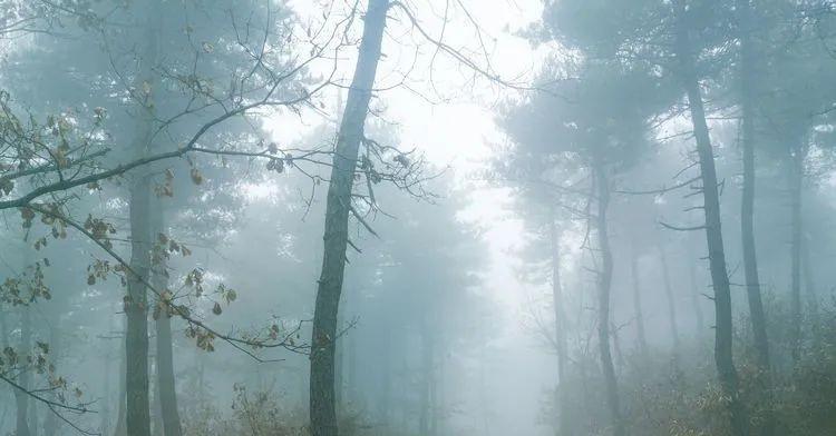 山西沁水：迷雾仙踪~云台山