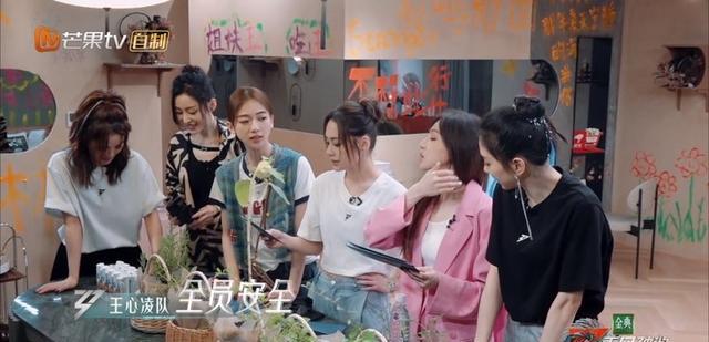 王心凌|这3大队长扯平了，都大获全胜了1次，但可惜的是有的队长赢得太早