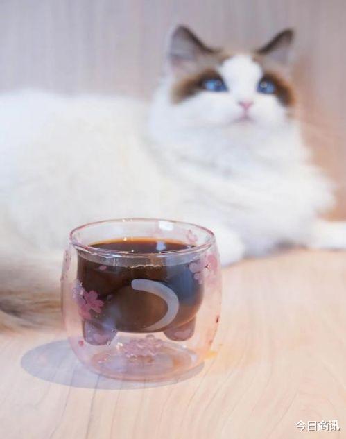 web3|万元薯片包未开售被订光,饥饿营销到底饿的是谁