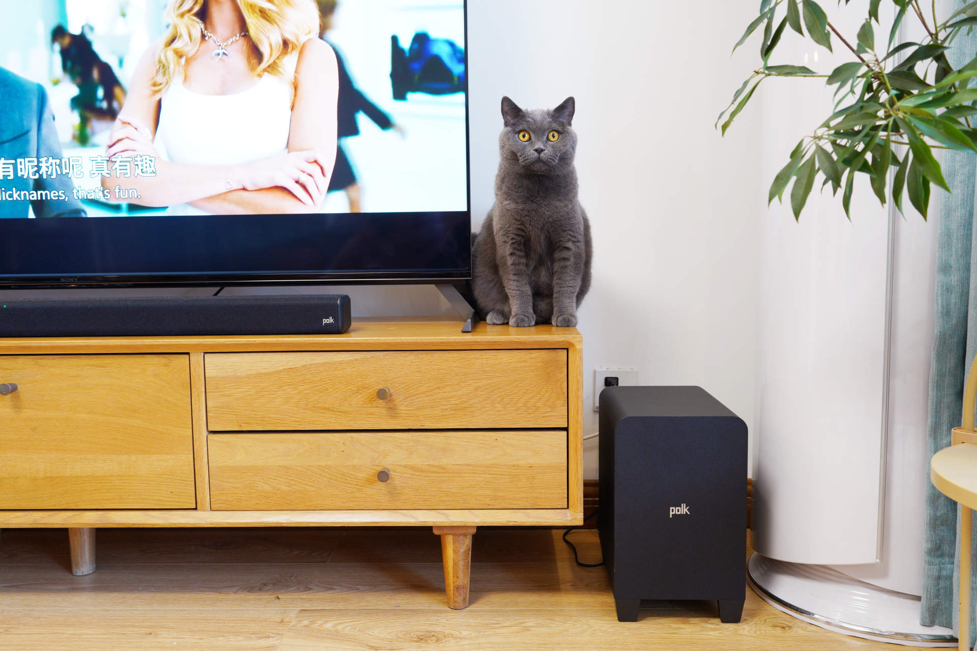 音响|别再把条形音响当回音壁了!深入浅出,手把手教你分辨真假回音壁